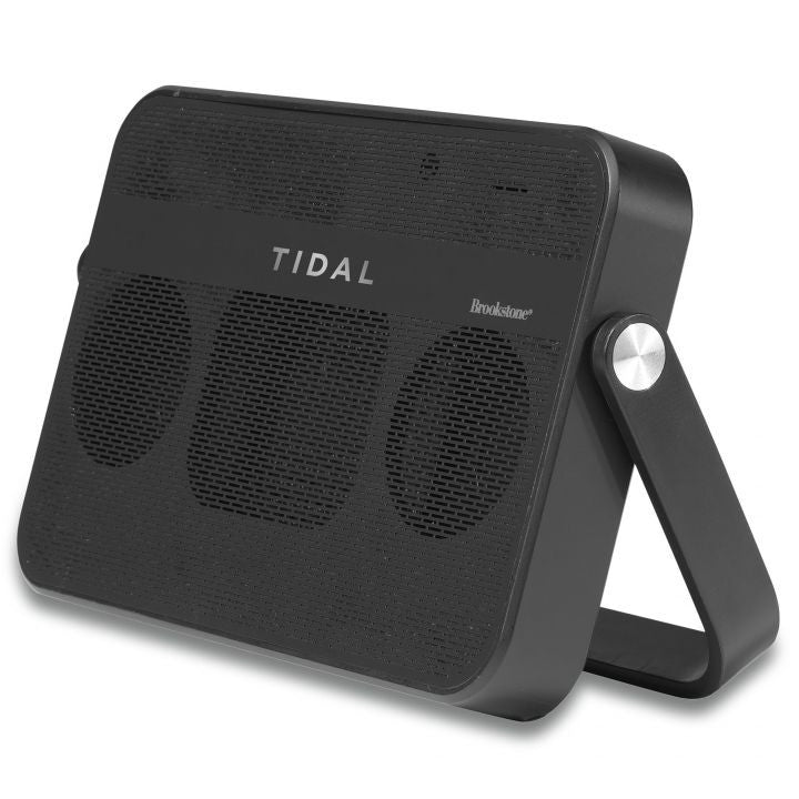 Brookstone Speaker