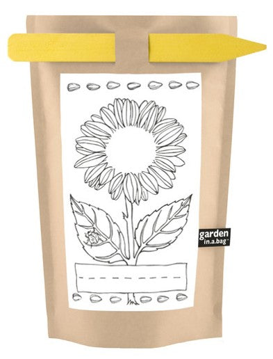 Kids Garden-in-a-bag Sunflower