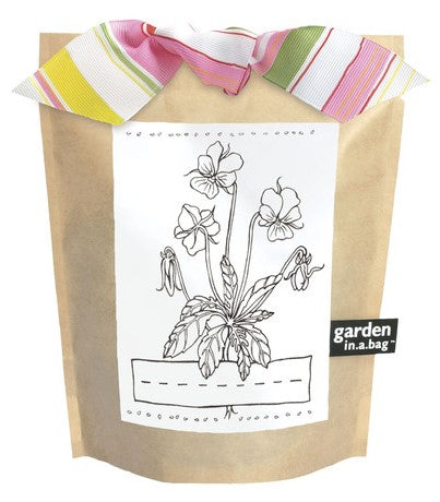 Kids Garden-in-a-bag Viola