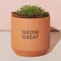 Modern Sprout Tiny Terracotta Grow Kit - Poppies