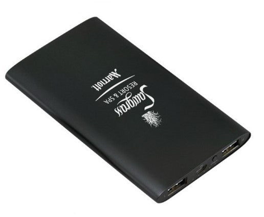 Slim Metal Power Charger Bank