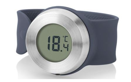 Bacchus Wine Thermometer