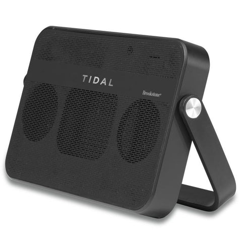 Brookstone Speaker