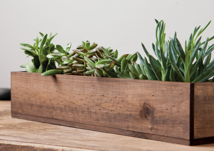 Giselle Succulent Trough