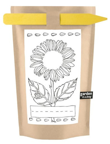 Kids Garden-in-a-bag Sunflower