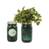 Indoor Herb Garden Kit