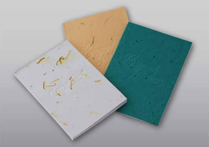 Seed Journals