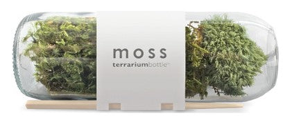 Terrarium Bottle Moss