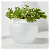W & P Hydropod