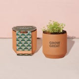 Modern Sprout Tiny Terracotta Grow Kit - Clover