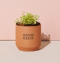 Modern Sprout Tiny Terracotta Grow Kit - Clover