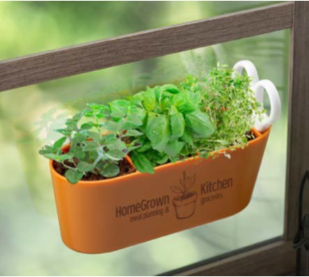 Wall Sprouts Indoor Gardening Kit