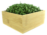 Microgreens Desktop Grow Kit