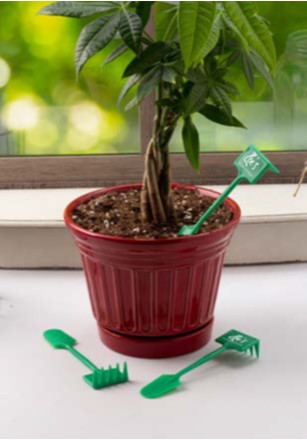 Plant Rake & Spade