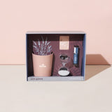 Modern Sprout Seek Peace Take Care Kit - Lavender