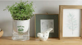 Self Watering Planter