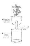 Self Watering Planter