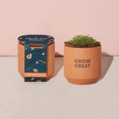 Modern Sprout Tiny Terracotta Grow Kit - Daisies